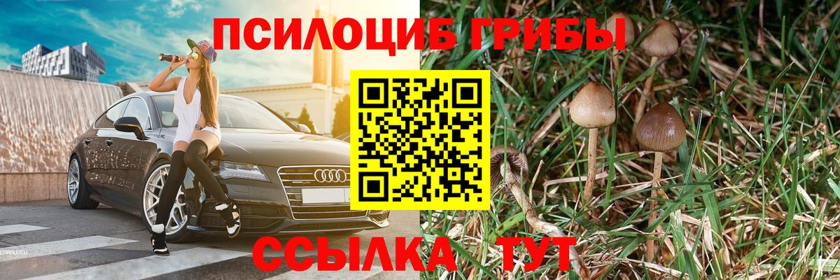 Галлюциногенные грибы Psilocybine cubensis  Вход с VPN  Кизилюрт  Галлюциногенные грибы Cubensis 